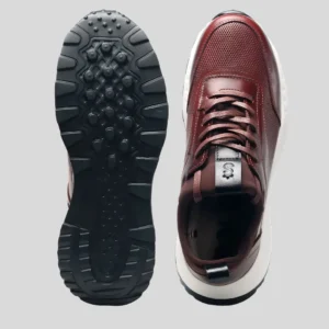 OXFORD – COÑAC (4)